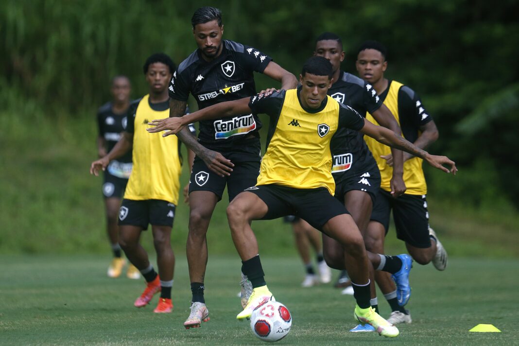Botafogo registra reforços e tem apenas garotos como desfalques na estreia do Estadual