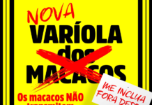 Transmissão da varíola dos macacos não está relacionada aos primatas Category Template - London News PRO