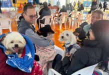 Em Três Lagoas, Caravana da Castração inicia segunda etapa com formação técnica para municípios Category Template - London News PRO