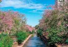 Moderna, Campo Grande passa a aplicar conceito internacional de ‘Cidade-Esponja’ Category Template - London News PRO