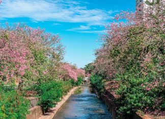Moderna, Campo Grande passa a aplicar conceito internacional de ‘Cidade-Esponja’ Home