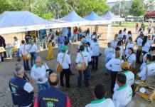 Três Lagoas realiza o Dia D Municipal de Combate às Arboviroses na quinta (27) Category Template - London News PRO