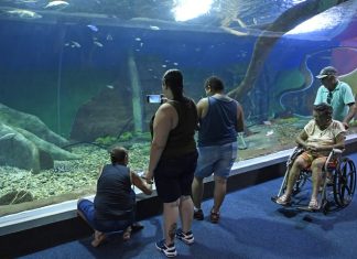 Bioparque Pantanal recebe selo internacional “ouro” por sustentabilidade e se destaca entre atrativos turísticos mundiais Home