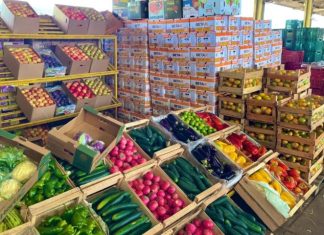 Ceasa de MS chega aos 46 anos conectando produtores e comerciantes, impulsionando a economia local Home