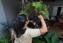 Contra o mosquito, todos do mesmo lado: Mato Grosso do Sul realiza ‘Dia D’ de Combate à Dengue Category Template - London News PRO