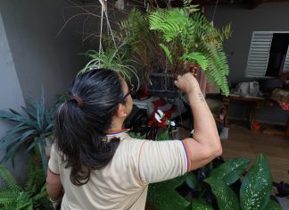 Contra o mosquito, todos do mesmo lado: Mato Grosso do Sul realiza ‘Dia D’ de Combate à Dengue Home