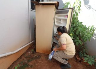 Boletim Epidemiológico: MS registra 8.299 casos confirmados de dengue Home