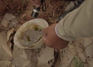 Boletim Epidemiológico: MS registra 8.272 casos confirmados de dengue Home