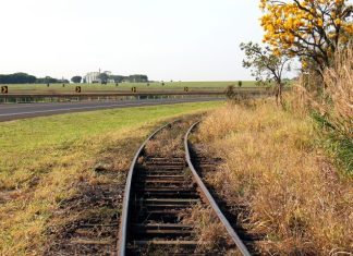 Novo edital da Malha Oeste anunciado para 2026 reforça ferrovia como prioridade estratégica para MS Home