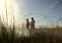 Operação Pantanal 2025 apresenta balanço com redução expressiva em focos de incêndios e hectares afetados Category Template - London News PRO