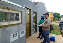 Vacinação antirrábica chega ao Aero Rancho a partir desta sexta (27) Category Template - London News PRO