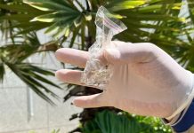 Boletim Epidemiológico: MS registra 107 casos confirmados de dengue Category Template - London News PRO