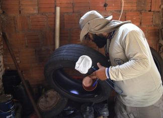 Boletim Epidemiológico: MS registra 79 casos confirmados de dengue Home