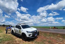 Vai viajar para curtir a folia? Especialistas de MS reforçam orientações para quem vai pegar a estrada Category Template - London News PRO