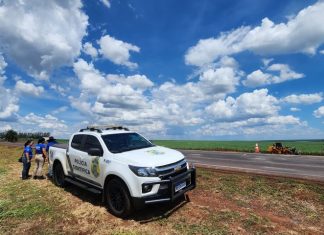 Vai viajar para curtir a folia? Especialistas de MS reforçam orientações para quem vai pegar a estrada Home