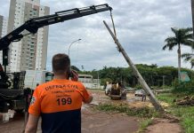 Disponível 24h, saiba quando e como acionar a Defesa Civil Category Template - London News PRO