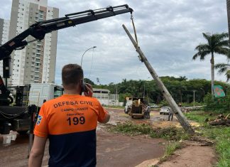 Disponível 24h, saiba quando e como acionar a Defesa Civil Home