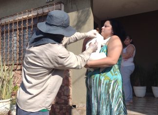 Sesau leva vacinação antirrábica para 4 bairros nesta terça (24) Home