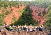 Com biodiversidade única, turismo e conservação no Pantanal e em Bonito atraem olhares do mundo todo Category Template - London News PRO