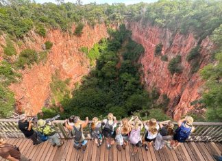 Com biodiversidade única, turismo e conservação no Pantanal e em Bonito atraem olhares do mundo todo Home