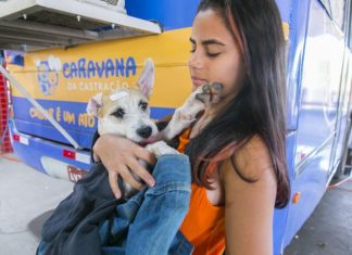 Caravana da Castração chega à Capital e se consolida como o maior programa de controle de animais em MS Home