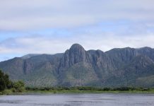 Para preservar o Pantanal, PSA Brigadas destinou mais de R$ 6,1 milhões para diferentes projetos sustentáveis Category Template - London News PRO