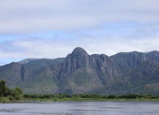 Para preservar o Pantanal, PSA Brigadas destinou mais de R$ 6,1 milhões para diferentes projetos sustentáveis Home