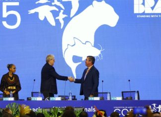 Pantanal no centro do mundo: COP15 começa com protagonismo de MS e mobilização global pela biodiversidade Home