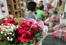 Dia da Mulher: Procon de Mato Grosso do Sul divulga pesquisa sobre flores e autocuidado Category Template - London News PRO