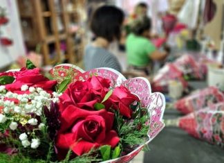 Dia da Mulher: Procon de Mato Grosso do Sul divulga pesquisa sobre flores e autocuidado Home