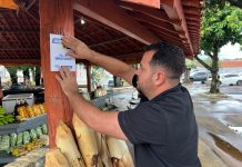 PrefCG lança aplicativo +CG e wi-fi gratuito em 187 pontos da cidade Category Template - London News PRO