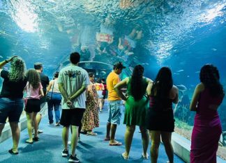 Bioparque Pantanal celebra quatro anos colocando Mato Grosso do Sul em destaque internacional Home