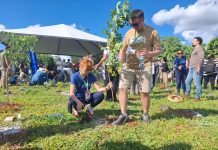 População participa e dá vida ao Bosque da COP15 Category Template - London News PRO