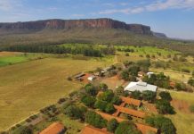 UEMS lança Pantanal Tech MS 2026 com programação que integra ciência, produção e qualidade de vida Category Template - London News PRO