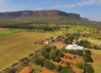 UEMS lança Pantanal Tech MS 2026 com programação que integra ciência, produção e qualidade de vida Home