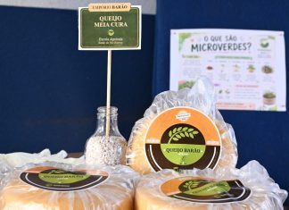 Alunos preparam mil queijos para festa em Rochedinho Home