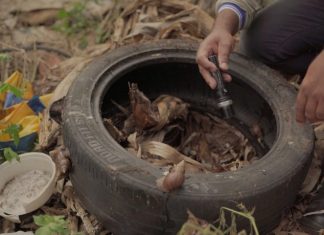 SES realiza força-tarefa com Defesa Civil para conter avanço da chikungunya em Dourados Home