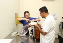 Subea leva Consultório Móvel ao North Park na segunda (27) Category Template - London News PRO