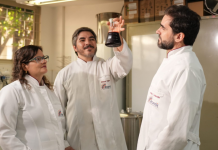 Programa Centelha apoia inovação no Estado e transforma microrganismos em corante natural industrial Category Template - London News PRO