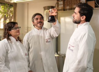 Programa Centelha apoia inovação no Estado e transforma microrganismos em corante natural industrial Home