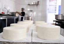 Produção é intensificada para 9ª Festa do Queijo Category Template - London News PRO