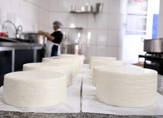 Produção é intensificada para 9ª Festa do Queijo Home