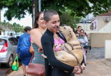 Feira de adoção oferece mais de 50 pets no domingo Category Template - London News PRO