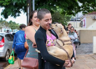 Feira de adoção oferece mais de 50 pets no domingo Home