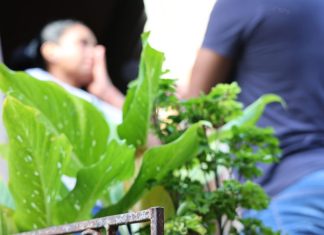 Filhos de vítimas de feminicídio em Mato Grosso do Sul recebem benefícios sociais Home