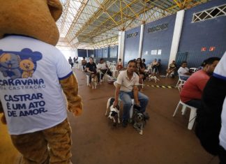 Iniciativa de sucesso, Caravana da Castração conclui atividades na próxima quarta em Paraíso das Águas Home