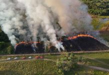 Imasul e Corpo de Bombeiros reforçam prevenção a incêndios com manejo integrado do fogo no Pantanal Category Template - London News PRO