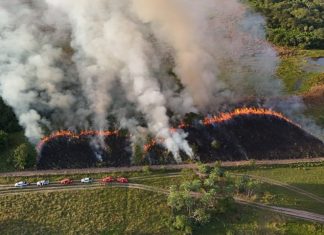 Imasul e Corpo de Bombeiros reforçam prevenção a incêndios com manejo integrado do fogo no Pantanal Home