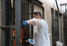 DNA coletado em presídios amplia investigações e fortalece banco genético de Mato Grosso do Sul Category Template - London News PRO