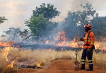 Bombeiros de MS se preparam para temporada de incêndios florestais com treinamentos e ações em campo Category Template - London News PRO